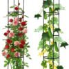 Garden Trellis for Climbing Plants, 5.6 feet Tall Garden Obelisk Trellis Climbing Plant Outdoor Support Potted Vine Flower Rose Vegetable Cucumber Trellis Raised Bed, Lightweight, 2 Pack